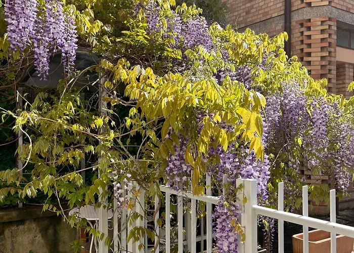 Il Glicine - Monolocale A Due Passi Dal Centro * Urbino